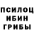 Галлюциногенные грибы прущие грибы Konstantin Lisner