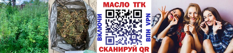 Купить закладки  Петухово  ТГК вейп 
