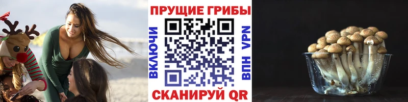 Псилоцибиновые грибы мицелий  Купить где  Петухово 
